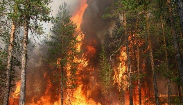 У національному парку 