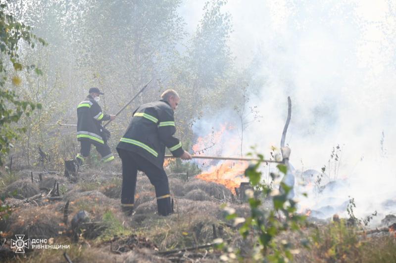 Близько ста рятувальників докладають зусиль для гасіння масштабної пожежі на території Сарненського району. Це повідомлення з'явилося на сайті новин Рівного та області — Рівне Вечірнє.