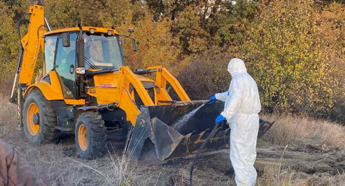 У Харківській області зафіксовано випадок африканської чуми свиней.